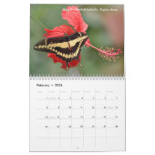 Diverse vlinders kalender (Feb 2026)