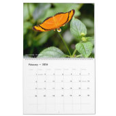 Diverse vlinders voor kalender 2023 (Feb 2026)