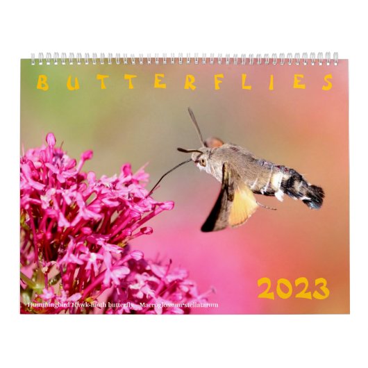 Diverse vlinders voor kalender 2023 (Hoes)