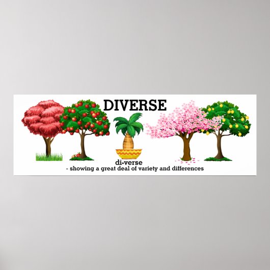 DIVERSE - Vocabulair Poster (Voorkant)