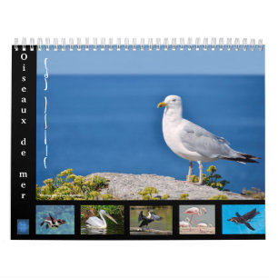Diverse zeeen 12-maandenkalender kalender