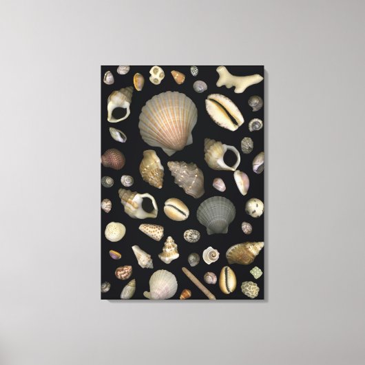 Diverse zeeschelpen canvas afdruk (Voorkant)