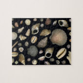 Diverse zeeschelpen legpuzzel (Horizontaal)