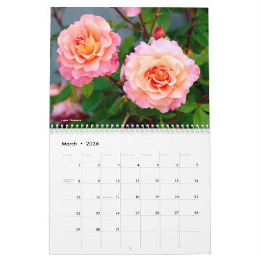 Diverses fleurs calendrier 12 mois (Mar 2026)