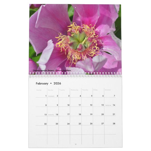 Diverses fleurs calendrier 12 mois (Feb 2026)