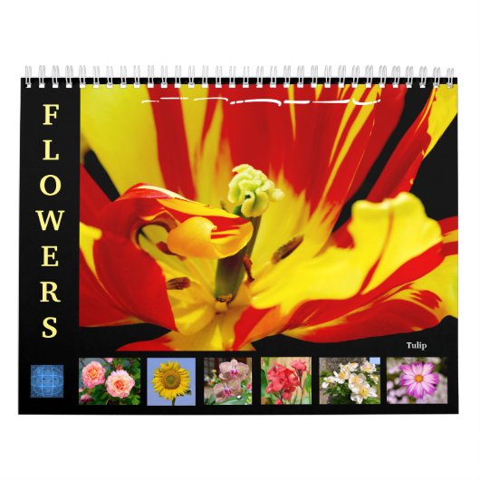 Diverses fleurs calendrier 12 mois (Protection)