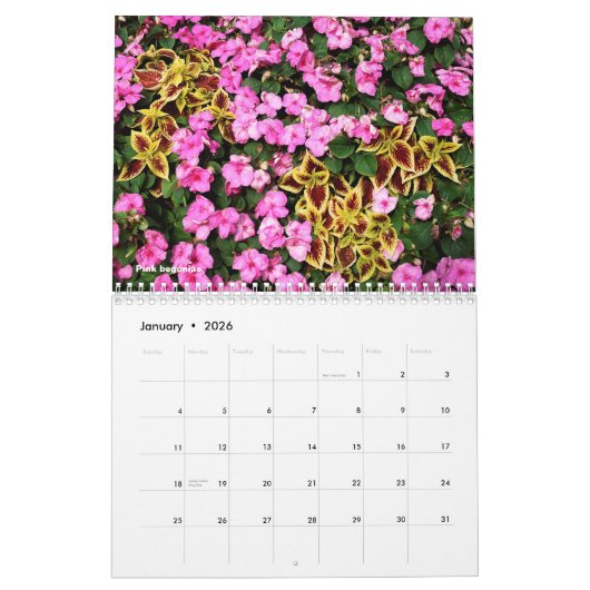 Diverses fleurs calendrier 12 mois (Jan 2026)