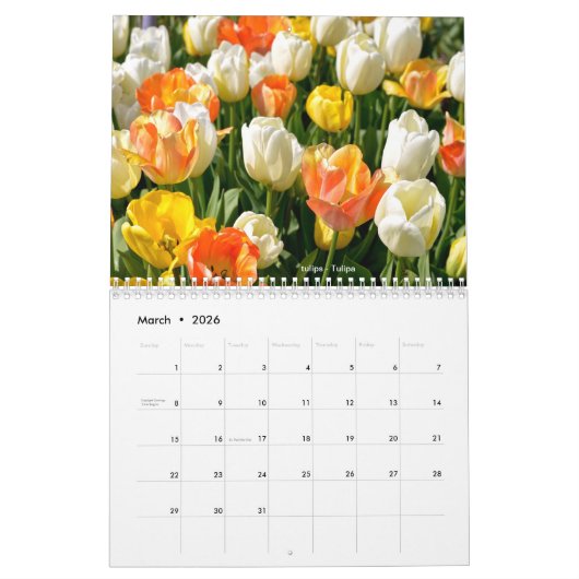 Diverses fleurs calendrier 12 mois (Mar 2026)