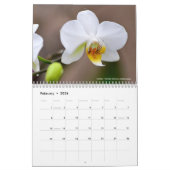 Diverses fleurs calendrier 12 mois (Feb 2026)