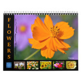 Diverses fleurs calendrier 12 mois (Protection)