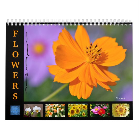 Diverses fleurs calendrier 12 mois (Protection)