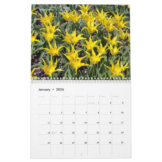 Diverses fleurs calendrier 12 mois (Jan 2026)