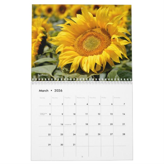 Diverses fleurs calendrier 12 mois (Mar 2026)