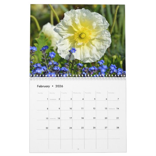 Diverses fleurs calendrier 12 mois (Feb 2026)