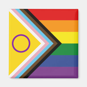 Diversiteit en inclusie Voortgang Pride Vlag Magneet