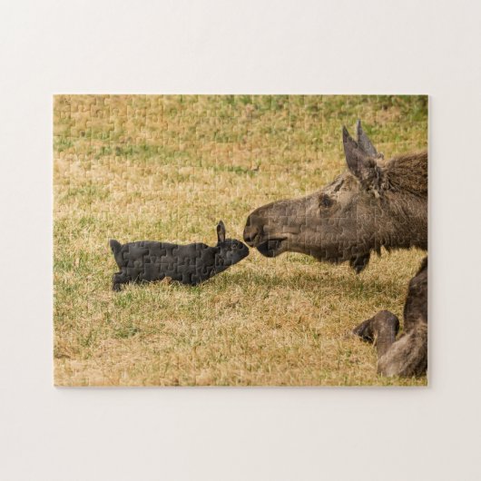 Diversiteit Legpuzzel (Horizontaal)