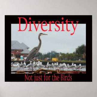 Diversiteit, niet alleen voor vogels poster