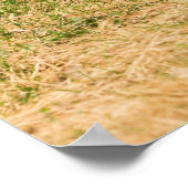 Diversiteit Poster (Hoek)