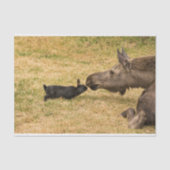 Diversiteit Tissuepapier (Voorkant)