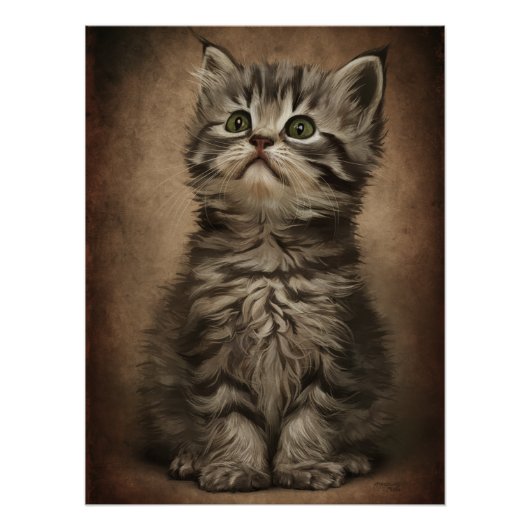 Dives Cat 4 Perfect Poster (Voorkant)