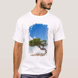 Divi Divi Boom, Eagle Beach, Aruba, Caribisch gebi T-shirt