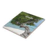 Divi Divi-boom in Aruba Tegeltje (Zijkant)