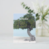 Divi Divi Tree Briefkaart (Staand voorkant)