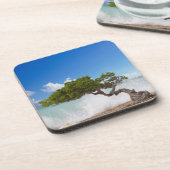Divi Divi Tree, Eagle Beach, Aruba, Caribisch gebi Bier Onderzetter (Linkerzijde)