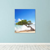 Divi Divi Tree, Eagle Beach, Aruba, Caribisch gebi Canvas Afdruk (Insitu (Houten vloer))