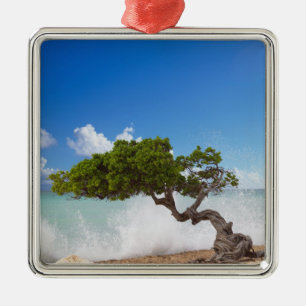 Divi Divi Tree, Eagle Beach, Aruba, Caribisch gebi Metalen Ornament