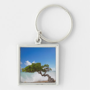 Divi Divi Tree, Eagle Beach, Aruba, Caribisch gebi Sleutelhanger