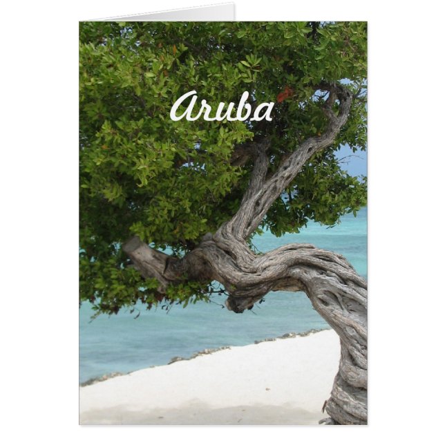 Divi Divi Tree in Aruba (Devant)