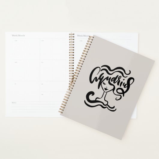 Divine Aquarius Planner (Display)