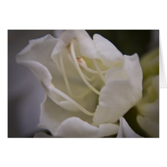 Divine Energy Card (Voorkant Horizontaal)