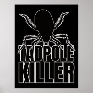 Diving Beetle Beetles Tadpole Killer - Entomologie Poster