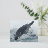 Diving Emperor Penguin Briefkaart (Staand voorkant)