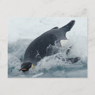 Diving Emperor Penguin Briefkaart