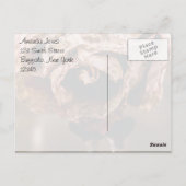 Divorce Party Dead Roos Dank u Briefkaart (Achterkant)