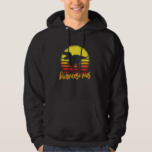 Divorcesaurus Dinosaur Just Divorce Party Hoodie