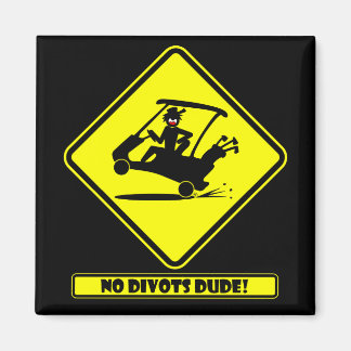 Divots DUDE-1 Magneet