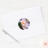 Dixie Lane Magnolia Stickers (Envelop)