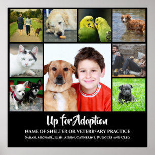 DIY 9-foto   Dierenveeartsenijkundige veearts adop Poster