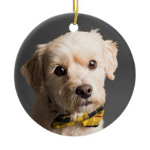 DIY Aangepaste Foto Kerstmis