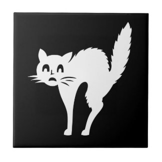 DIY Blank Sjabloon VERVANGEN met je FOTO Tegeltje