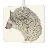 DIY Hedgehog luchtverfrisser (Links)