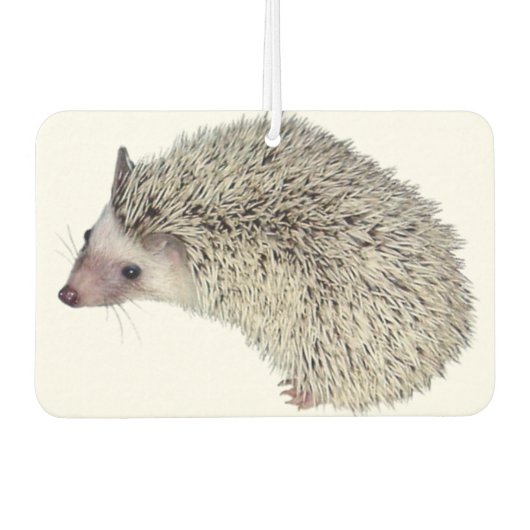 DIY Hedgehog luchtverfrisser (Voorkant)