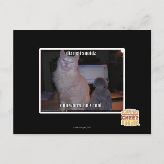 Diz Mai Squidz Briefkaart (Voorkant)