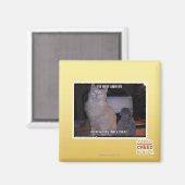 Diz Mai Squidz Magneet (Voorkant / Achterkant)