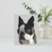 DJ de Boston Briefkaart (Staand voorkant)