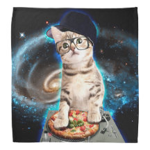 dj kat - ruimte kat - kattepizza - schattige katte